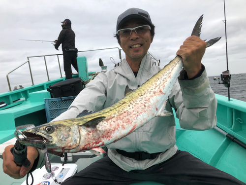 サワラの釣果