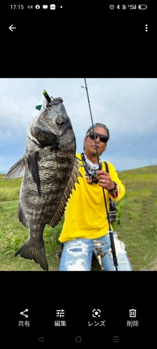 クロダイの釣果