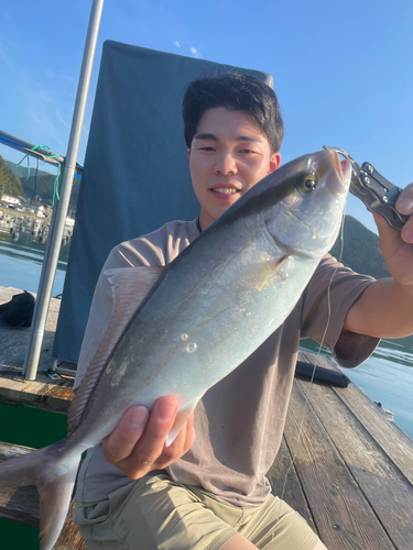 シオの釣果