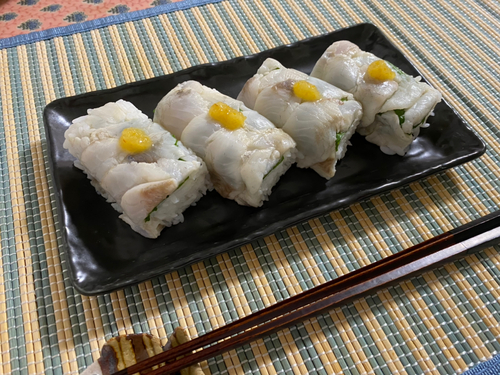 グレの釣果