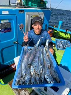 タチウオの釣果