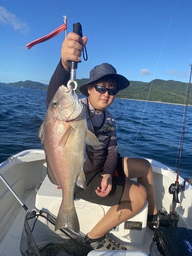 コロダイの釣果