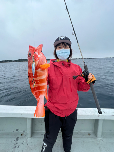 アカハタの釣果