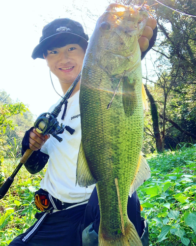 ブラックバスの釣果