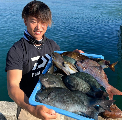 クチブトグレの釣果