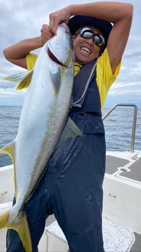 ヒラマサの釣果