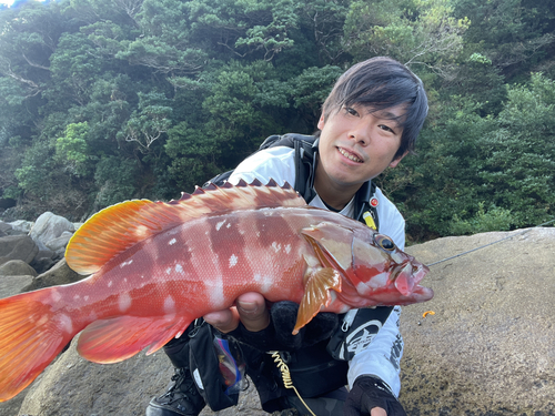 アカハタの釣果