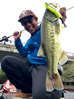 ブラックバスの釣果