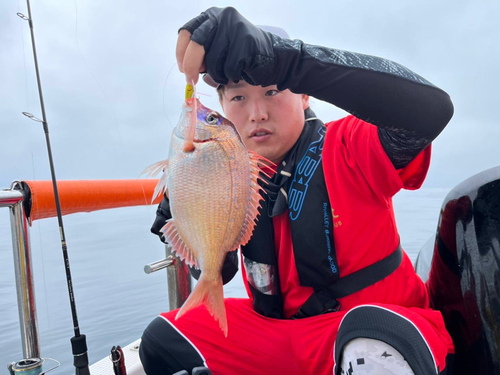 ハナダイの釣果