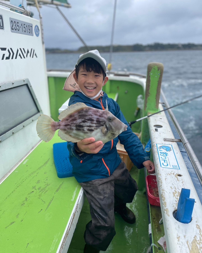 カワハギの釣果