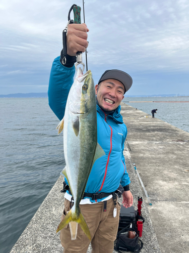 メジロの釣果