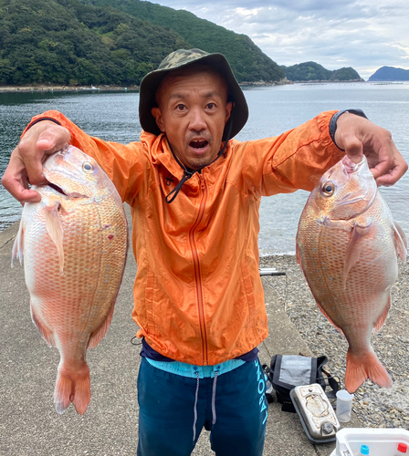 タイの釣果