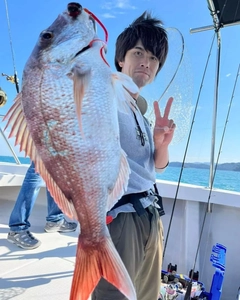 マダイの釣果