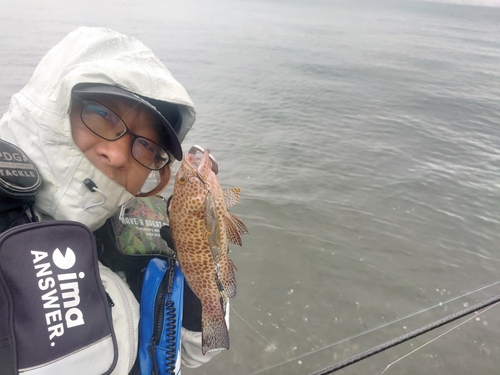 オオモンハタの釣果