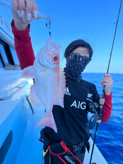 キントキダイの釣果