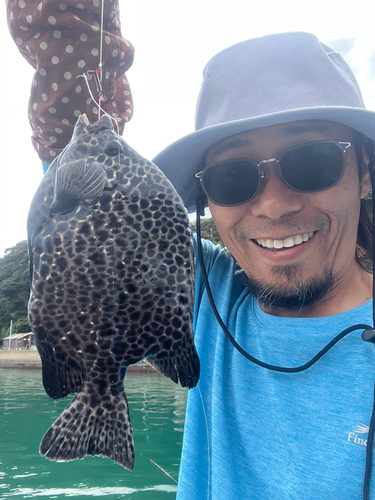 イシガキダイの釣果