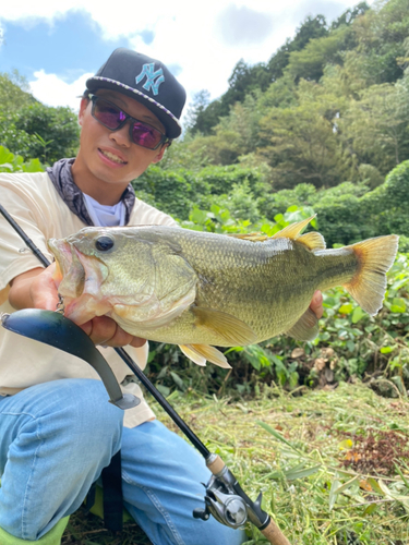 ブラックバスの釣果