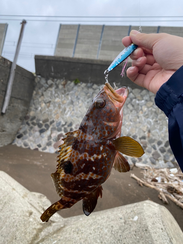 釣果