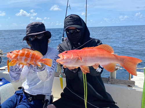 アカジンミーバイの釣果