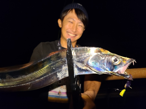 タチウオの釣果