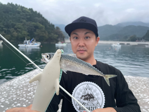 サバの釣果