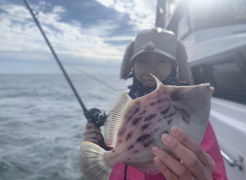 カワハギの釣果