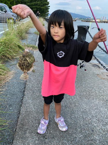 カワハギの釣果