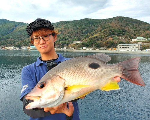 クロホシフエダイの釣果