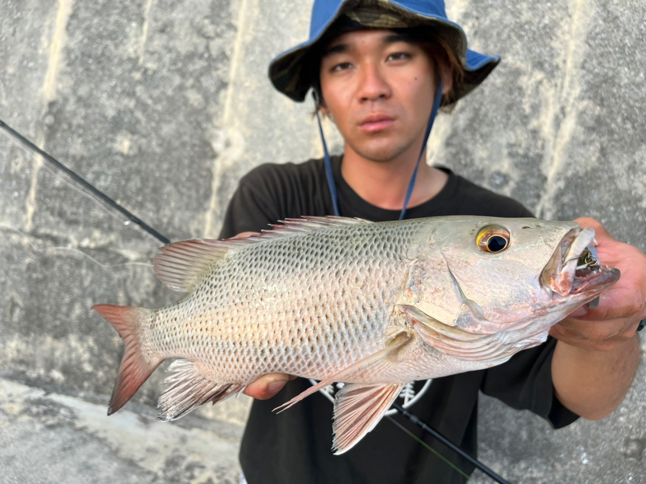 Gamakatsu ラグゼ ダイダラ S80Hの最安値・インプレ・釣果