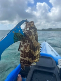 イシミーバイの釣果