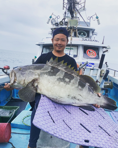 クエの釣果