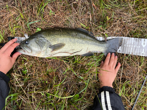 釣果