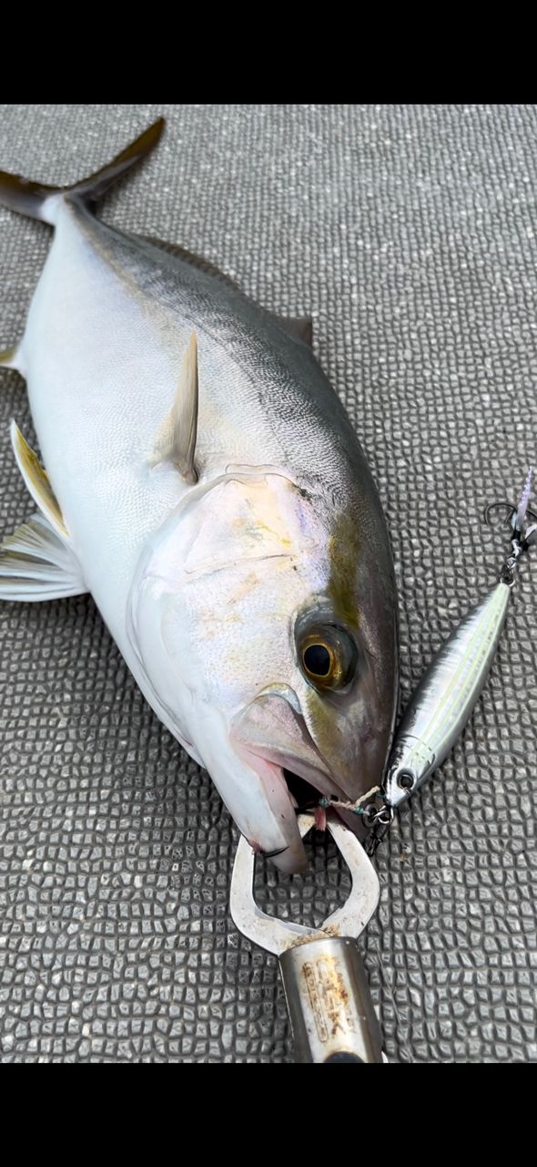 マイタブラザーズ兄さんの釣果 3枚目の画像