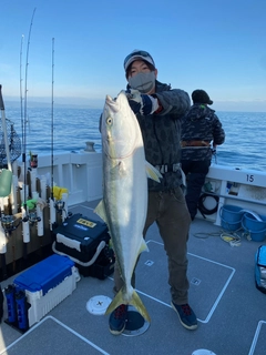 ブリの釣果