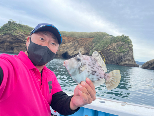 カワハギの釣果