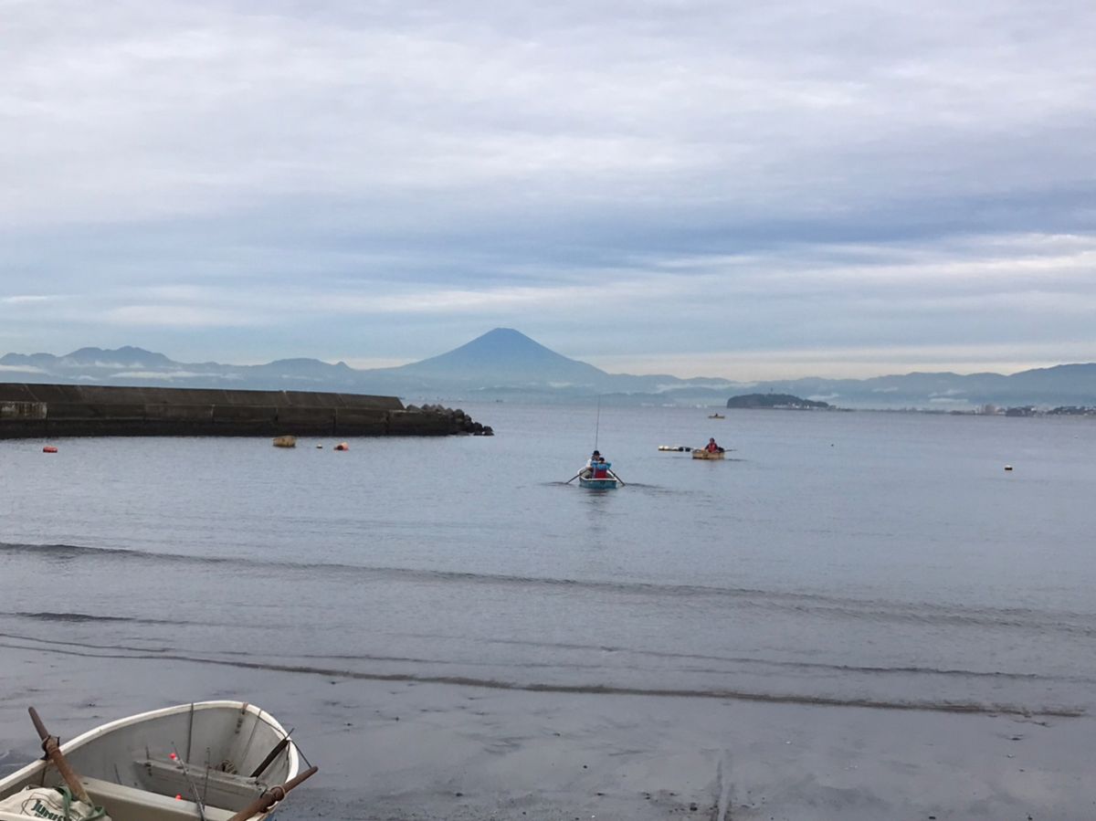 ヤス🌻さんの釣果 2枚目の画像