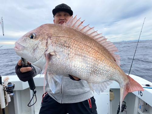 マダイの釣果