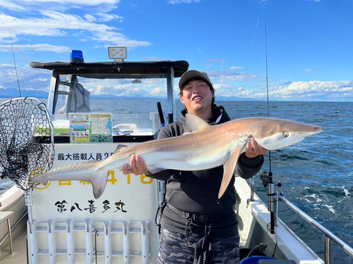 サメの釣果