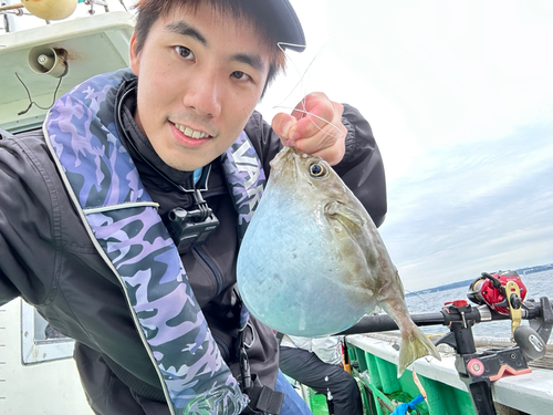 ヨリトフグの釣果