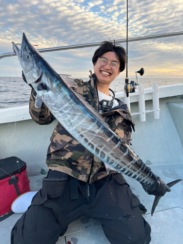 カマスサワラの釣果