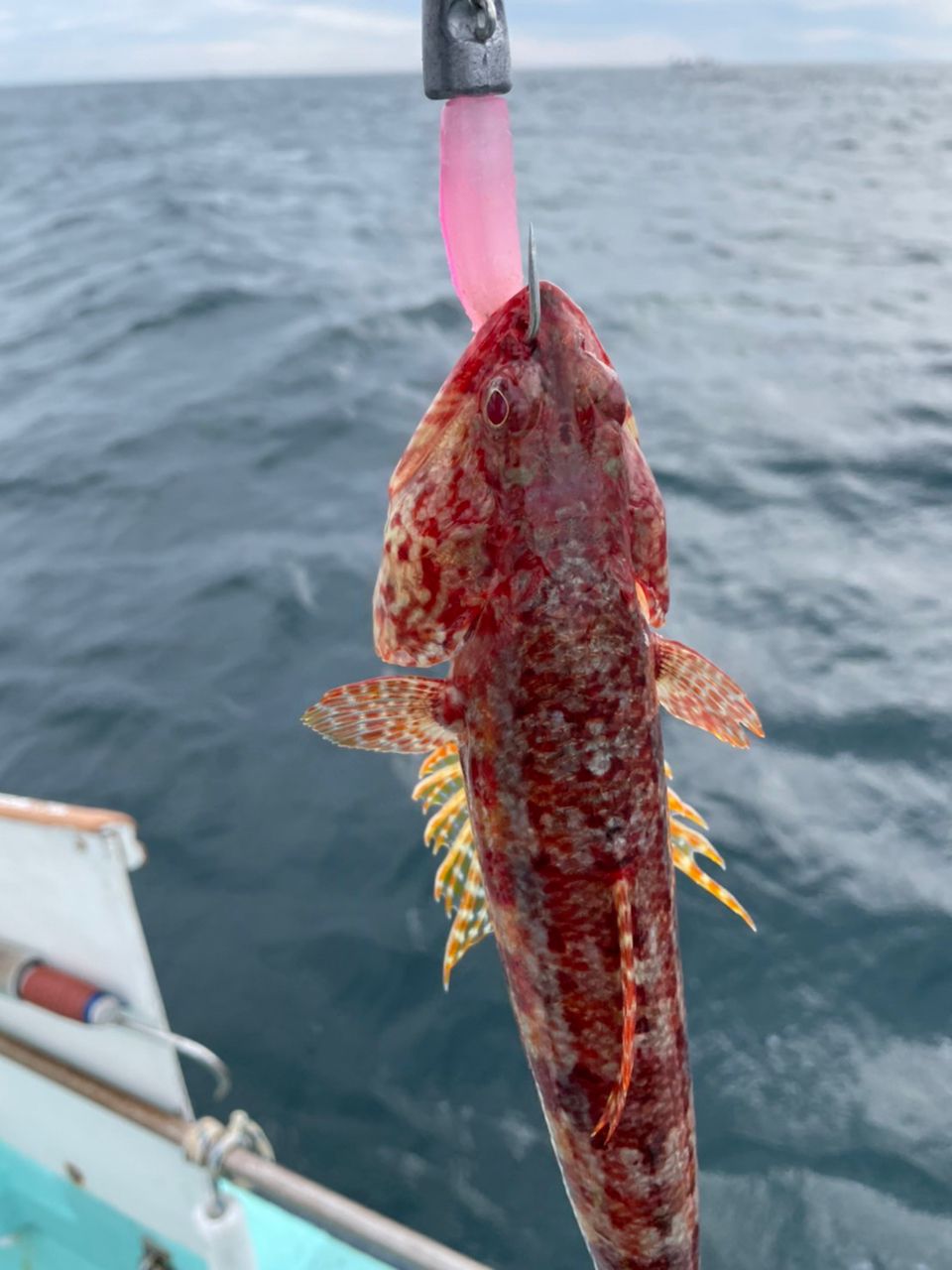 クマシーさんの釣果 2枚目の画像