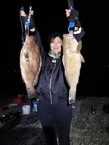 オオモンハタの釣果