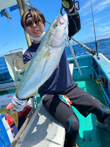 ワラサの釣果