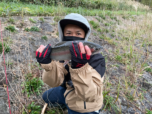 ニジマスの釣果