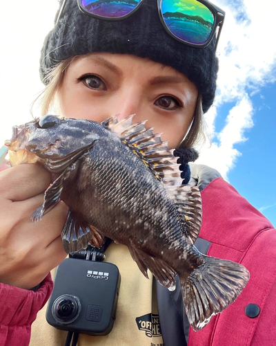 オウゴンムラソイの釣果