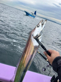 タチウオの釣果