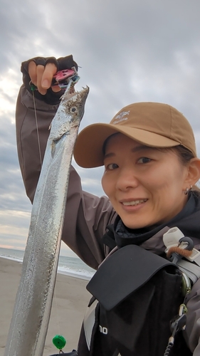 タチウオの釣果