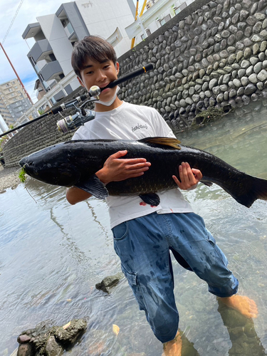 ソウギョの釣果