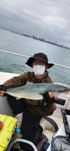 ハマチの釣果