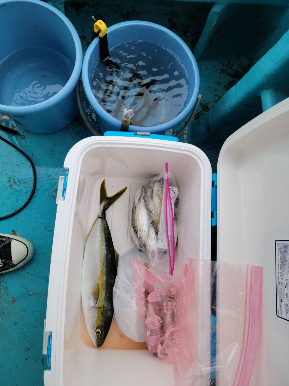 やまわかさんの釣果 2枚目の画像